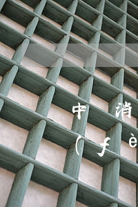 中銀消費(fèi)貸款逾期9天(中銀消費(fèi)貸晚還了一天)