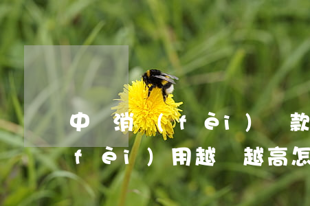 中銀消費(fèi)貸款逾期一年,逾期費(fèi)用越來越高,怎么弄，如何處理中銀消費(fèi)貸款逾期一年且逾期費(fèi)用不斷上漲的問題