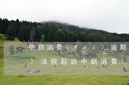 中銀消費(fèi)逾期一般在哪個(gè)法院起訴 中銀消費(fèi)金融多久起訴