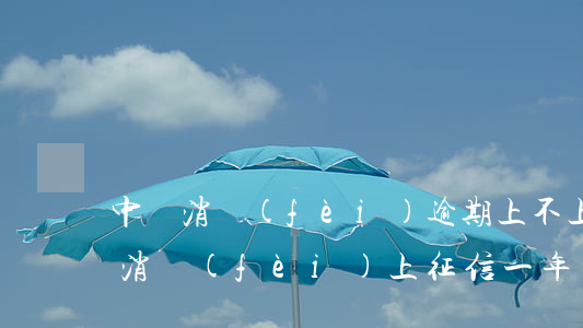中銀消費(fèi)逾期上不上征信 被中銀消費(fèi)上征信一年多了,還不起怎么辦