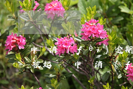 中銀消費(fèi)逾期四個(gè)月會被起訴嗎(中銀消費(fèi)逾期兩年現(xiàn)在怎么把逾期的錢還了)