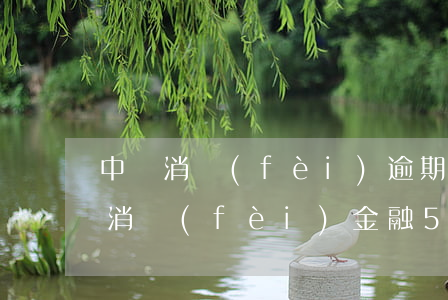 中銀消費(fèi)逾期起訴案件-欠中銀消費(fèi)金融5000元會被法院起訴嗎