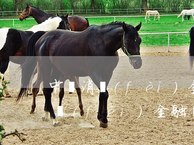 中銀消費(fèi)金融貸款逾期6(中銀消費(fèi)金融貸款逾期了三個(gè)月公司沒打電話)