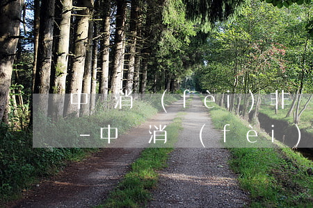 中銀消費(fèi)非惡意逾期證明怎么開-中銀消費(fèi)非惡意逾期證明怎么開