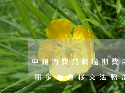 中銀消費貸款逾期費用(中銀消費金融貸款逾期多久會移交法務部)