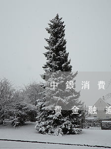 中銀消費貸款逾期風(fēng)險(中銀消費金融逾期三個月接到電話說起訴是真的嗎)