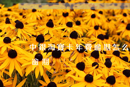 中銀淘寶卡年費逾期怎么辦（中銀淘寶卡年費逾期）