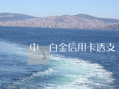 中銀白金信用卡透支還款(中行白金借記卡)
