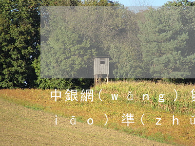 中銀網(wǎng)貸逾期起訴立案標(biāo)準(zhǔn) 網(wǎng)貸逾期起訴立案標(biāo)準(zhǔn)最新