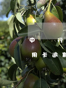 中銀銀行信用卡逾期會怎么樣-中銀銀行信用卡逾期會怎么樣