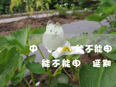 中銀額e貸能不能申請延期還款-中銀額e貸能不能申請延期還款呢