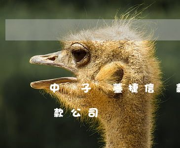 中鐵子悅薹捷信貸款公司(中鐵子悅薹捷信貸款公司)
