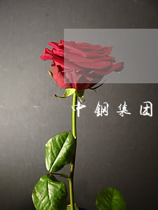 中钢集团逾期 中钢集团新闻