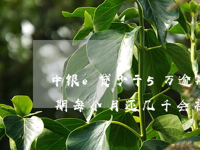 中银e贷少于5万逾期会起诉吗(中银e贷逾期每个月还几千会被投诉吗)