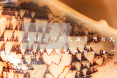 中银e贷还款后显示暂无授信额度-中银e贷还款后显示暂无授信额度怎么回事