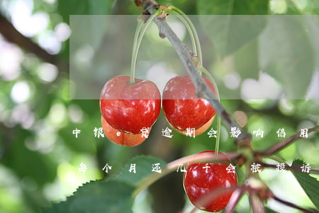 中银e贷逾期会影响信用卡吗(中银e贷逾期每个月还几千会被投诉吗)
