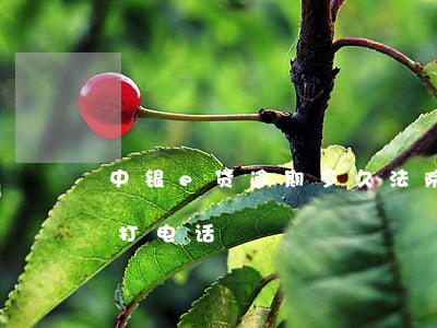 中银e贷逾期多久法院起诉-中e贷逾期没打电话