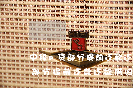 中银e贷部分提前还款还能借吗-中银e贷部分提前还款还能借吗安全吗
