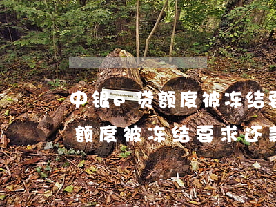 中银e贷额度被冻结要求还款吗-中银e贷额度被冻结要求还款吗是真的吗