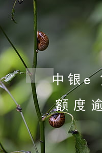 中银e贷额度逾期起诉不同意分期(中银e贷额度逾期起诉不同意分期)