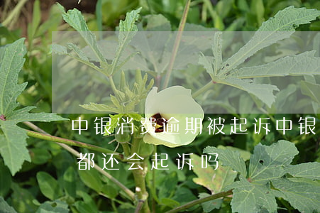 中银消费逾期被起诉(中银消费贷款逾期每月都还会起诉吗)