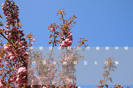 中银贷还款后还逾期(中银消费金融已经还款还显示逾期怎么回事)