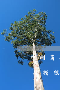 中间商欠钱被起诉厂家欠中间商钱-中间商欠钱被起诉厂家欠中间商钱怎么办