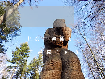 中院二審開(kāi)庭到宣判得多久(中院二審開(kāi)庭后大約多長(zhǎng)時(shí)間下判決書(shū))