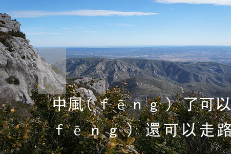 中風(fēng)了可以停息掛賬嗎(中風(fēng)還可以走路嗎)