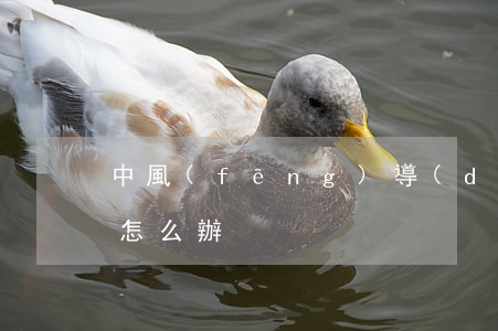 中風(fēng)導(dǎo)致老婆離婚怎么辦