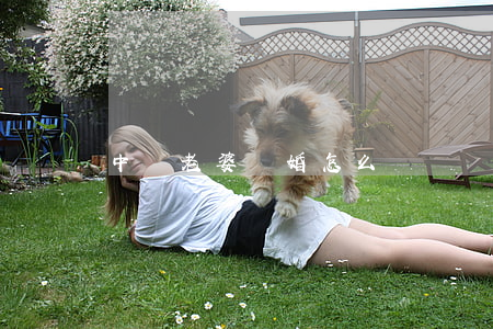 中風老婆離婚怎么辦
