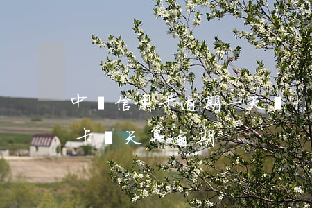中騰信用卡逾期一天會(huì)怎樣(信用卡幾天算逾期)