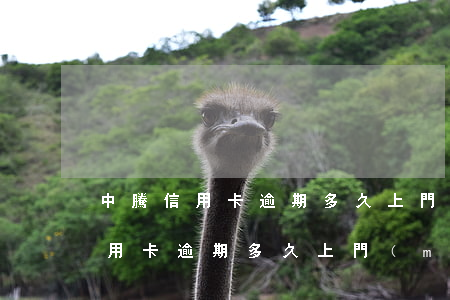 中騰信用卡逾期多久上門(mén)(中騰信用卡逾期多久上門(mén))