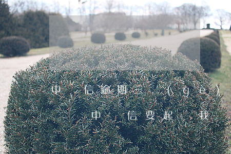 中騰信逾期三個(gè)月會(huì)起訴嗎(中騰信要起訴我)