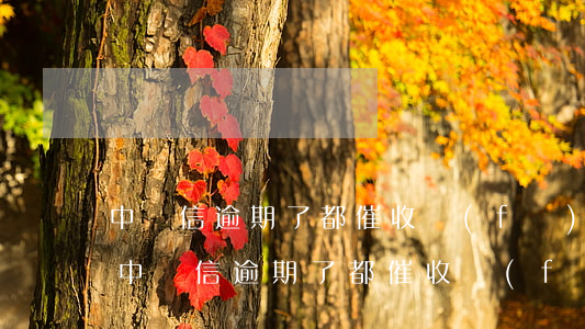 中騰信逾期了都催收發(fā)到抖音了-中騰信逾期了都催收發(fā)到抖音了是真的嗎