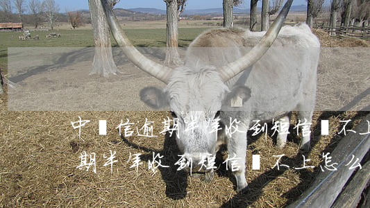 中騰信逾期半年收到短信還不上-中騰信逾期半年收到短信還不上怎么辦