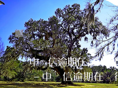 中騰信逾期在銀行可以辦公務(wù)卡嗎-中騰信逾期在銀行可以辦公務(wù)卡嗎安全嗎