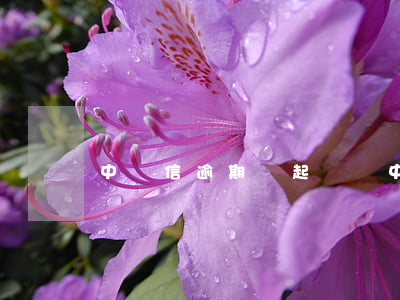 中騰信逾期會起訴嗎 中騰信起訴我了