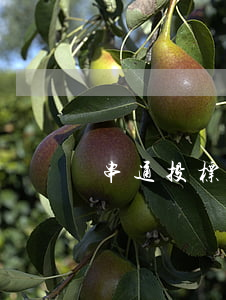 串通投标罪数额标准