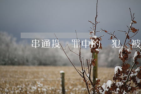 串通投標罪中的從犯會被如何判處