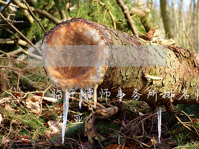 临平律师事务所排名(临平律师事务所排名诺力亚)