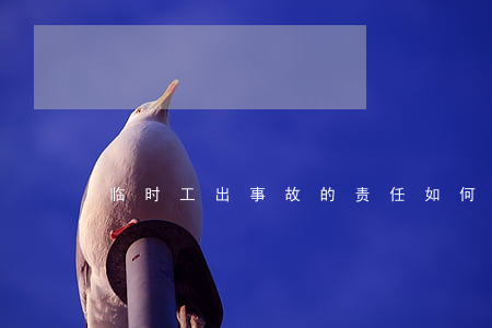 临时工出事故的责任如何认定