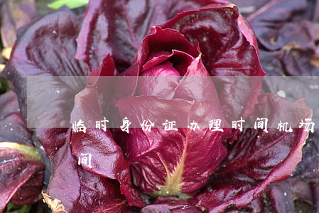 临时身份证办理时间(机场临时身份证办理时间)