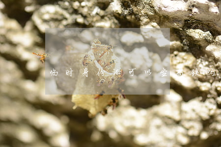 临时身份证可以坐高铁吗