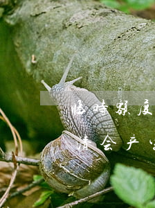 临时额度没还算逾期吗(临时额度到期了没还清会产生逾期吗)