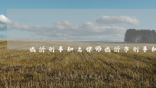 临沂刑事知名律师(临沂市刑事知名律师)