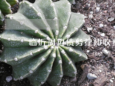 临沂周边债务律师收费(临沂律师收费标标准)