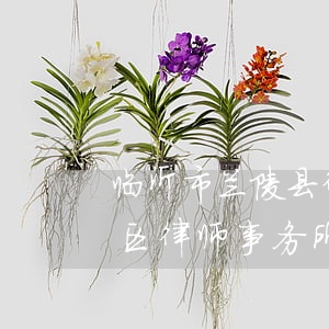 临沂市兰陵县律师事务所哪个靠谱(临沂兰山区律师事务所)