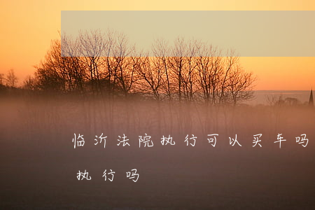 临沂法院执行可以买车吗(贷款买车法院可以执行吗)