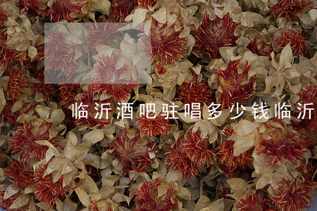 临沂酒吧驻唱多少钱(临沂酒吧有哪些)
